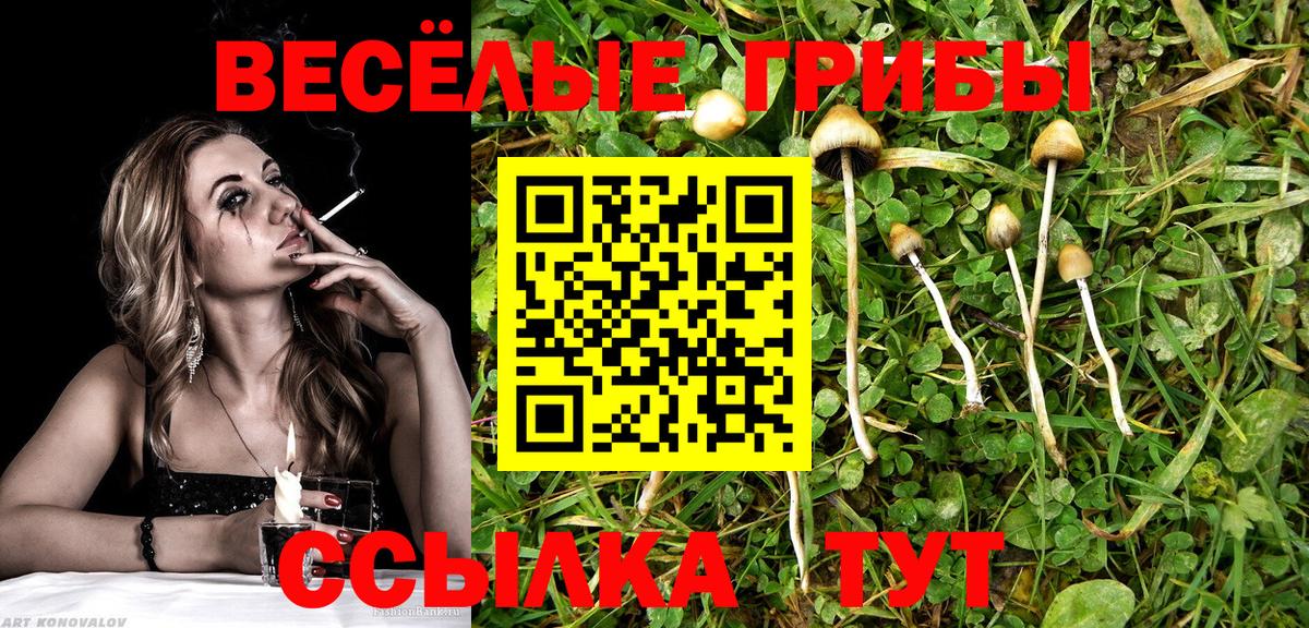 Псилоцибиновые грибы Magic Shrooms Волжский